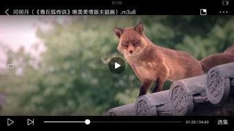 模仿成人的动物视频大全,揭秘成人类动物视频大全