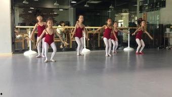 舞蹈踢腿训练视频 成人,成人踢腿训练技巧解析