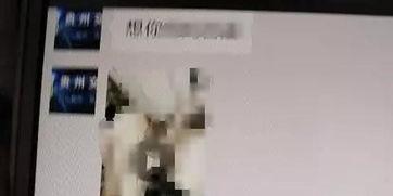 怀疑成人自己价值的视频,揭秘成人自我价值认知的迷思与真相