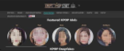 国外国内成人网站视频,全球视角下的成人娱乐产业概览