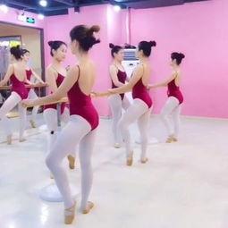 中国舞成人舞蹈视频大全,中国舞成人舞蹈视频大全精选集锦